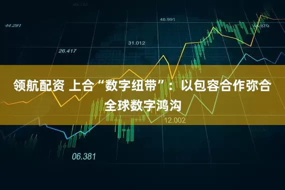 领航配资 上合“数字纽带”：以包容合作弥合全球数字鸿沟