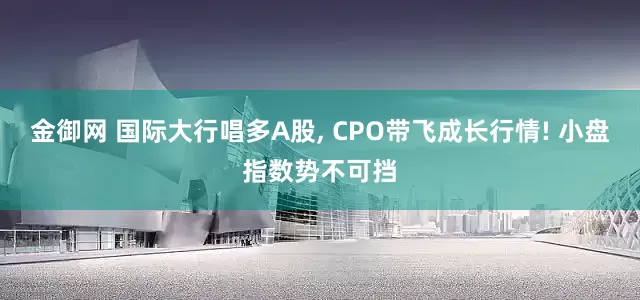 金御网 国际大行唱多A股, CPO带飞成长行情! 小盘指数势不可挡