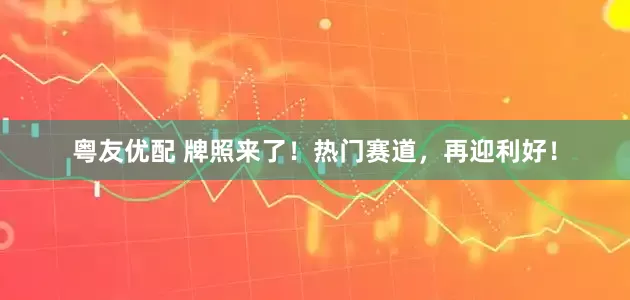 粤友优配 牌照来了！热门赛道，再迎利好！