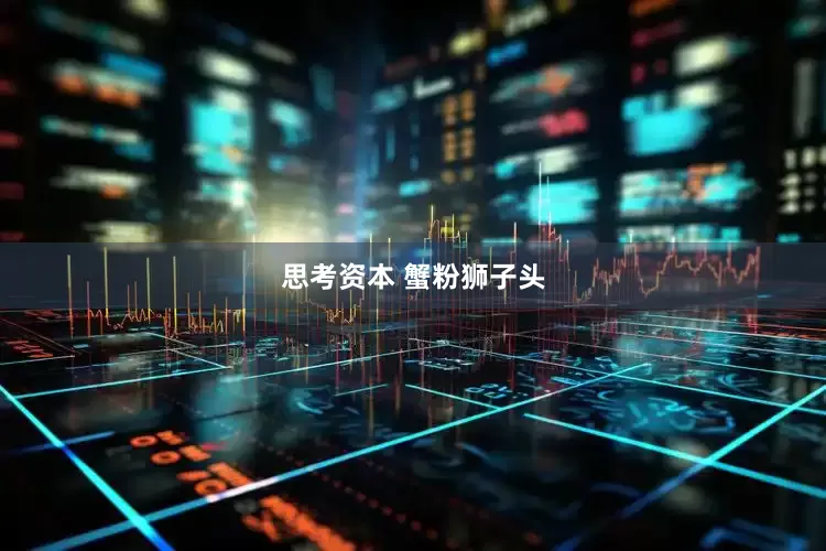 思考资本 蟹粉狮子头