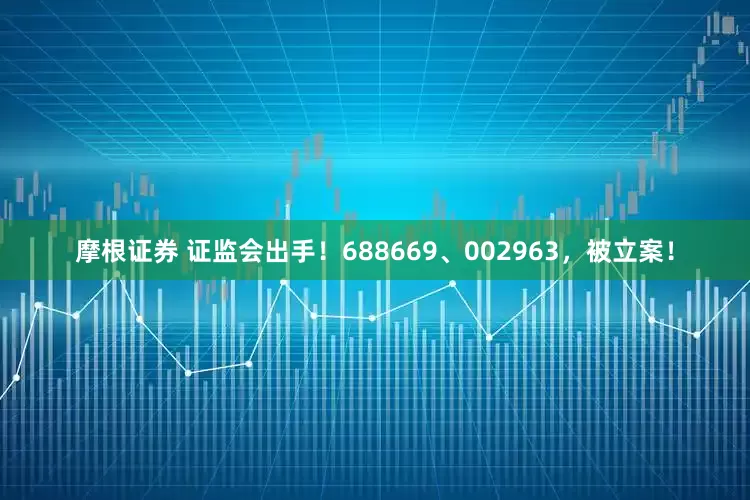摩根证券 证监会出手！688669、002963，被立案！