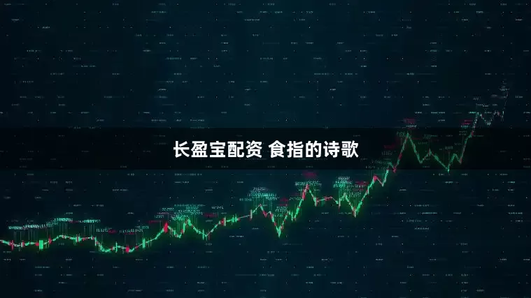 长盈宝配资 食指的诗歌