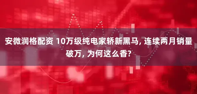 安微润格配资 10万级纯电家轿新黑马, 连续两月销量破万, 为何这么香?