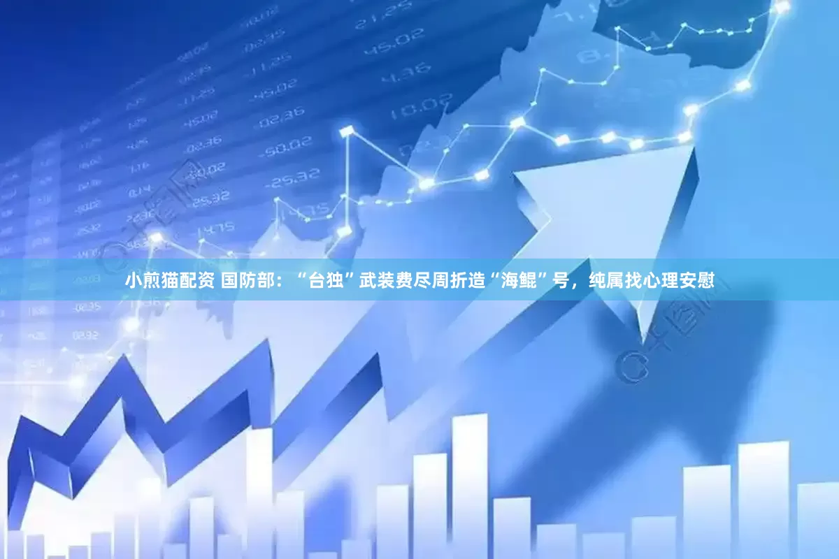 小煎猫配资 国防部：“台独”武装费尽周折造“海鲲”号，纯属找心理安慰