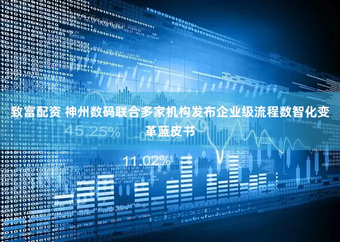 致富配资 神州数码联合多家机构发布企业级流程数智化变革蓝皮书